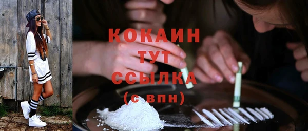 стаф Аркадак