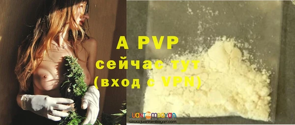 стаф Аркадак
