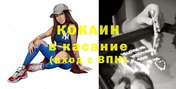 стаф Аркадак