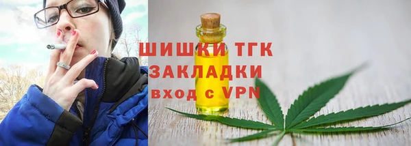 стаф Аркадак
