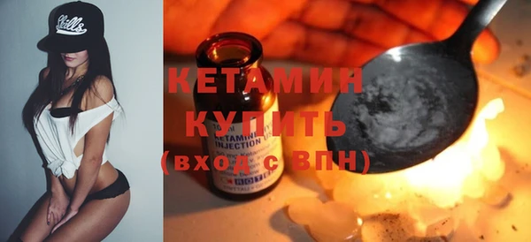 стаф Аркадак