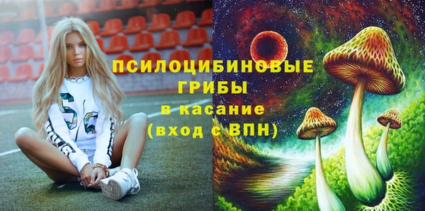 стаф Аркадак