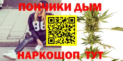 прущие грибы Сланцы