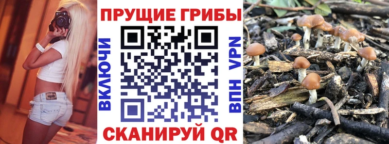Галлюциногенные грибы Magic Shrooms кракен зеркало Урюпинск дарнет шоп
