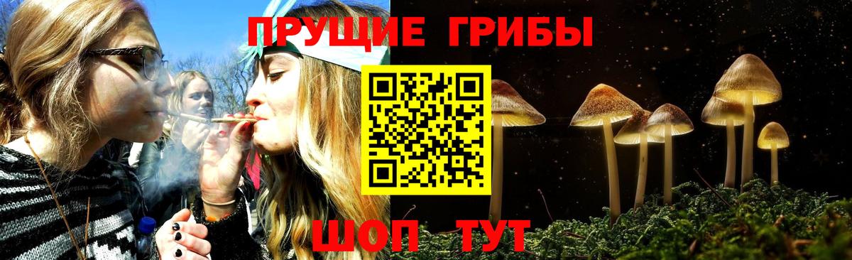 Галлюциногенные грибы прущие грибы Урюпинск