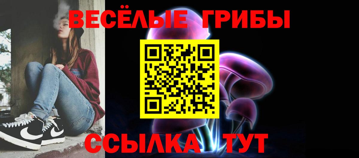 Галлюциногенные грибы Psilocybine cubensis  Вход с VPN  Урюпинск 
